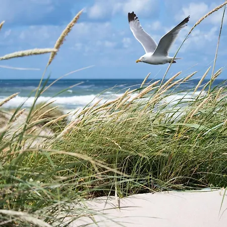 In Het Zoute Near Mini-golf Appartement