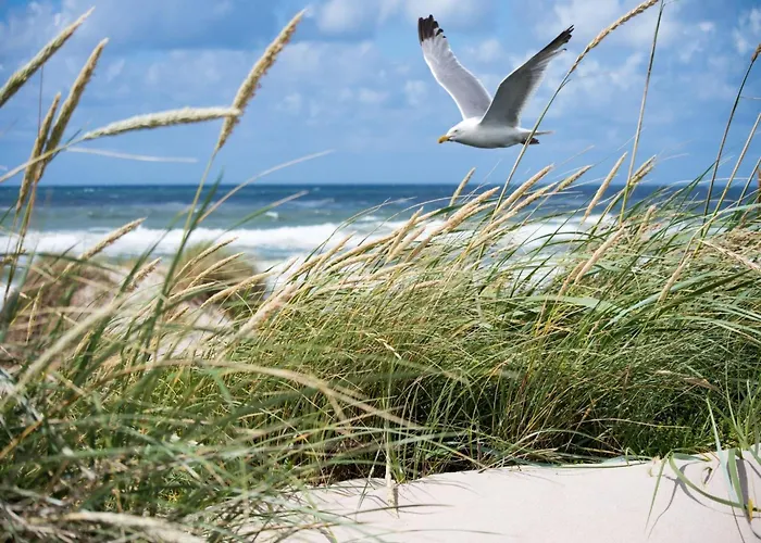 In Het Zoute Near Mini-golf Appartement